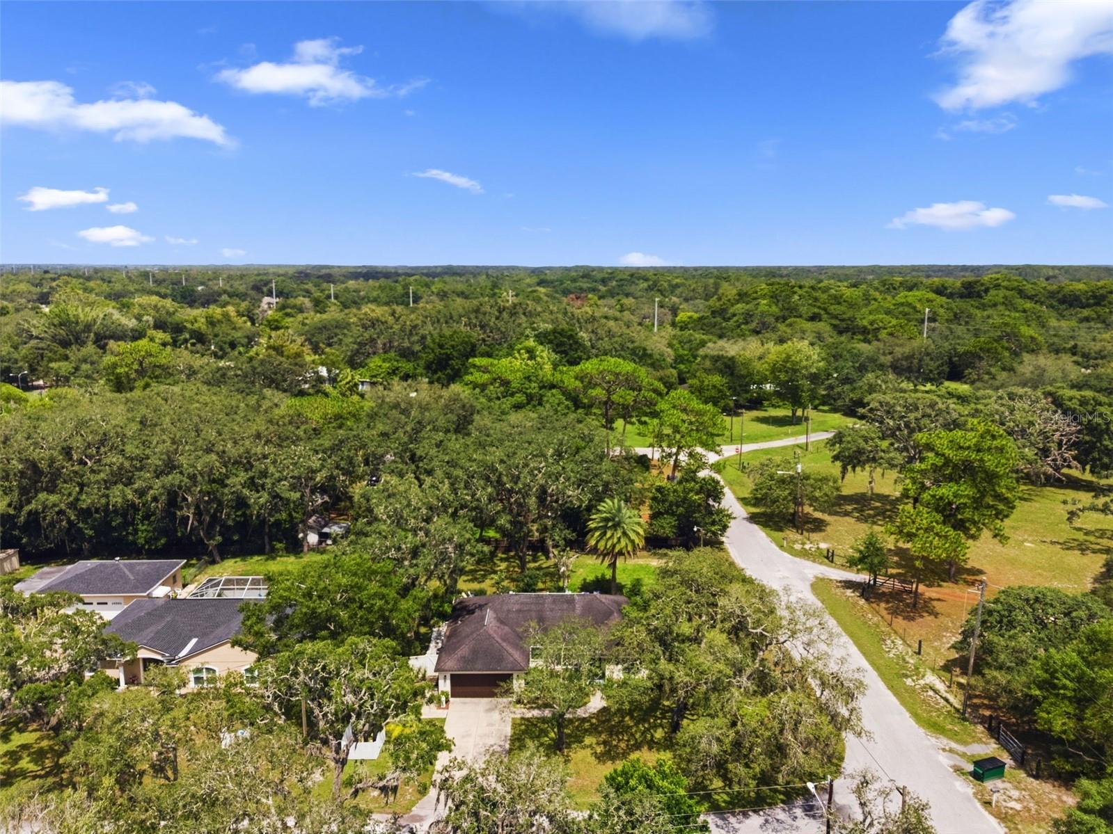 11240 Marquerite Avenue New Port Richey FL 34654 TB8530856 image37
