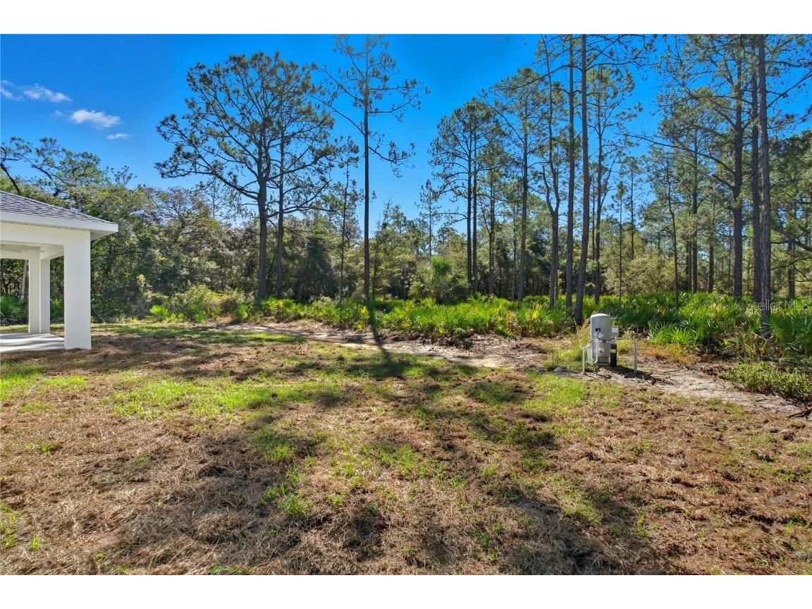 11240 W Dragonhead Drive Crystal River FL 34428 TB8331971 image32