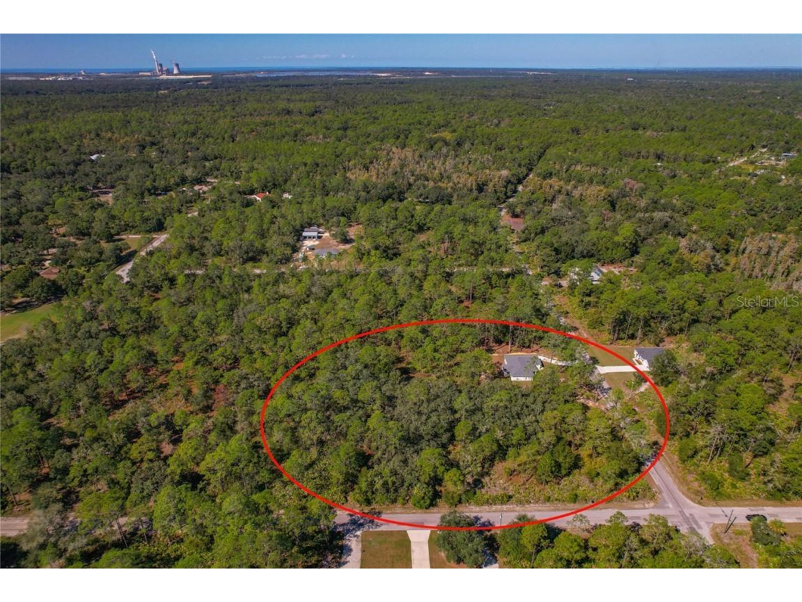 11240 W Dragonhead Drive Crystal River FL 34428 TB8331971 image39