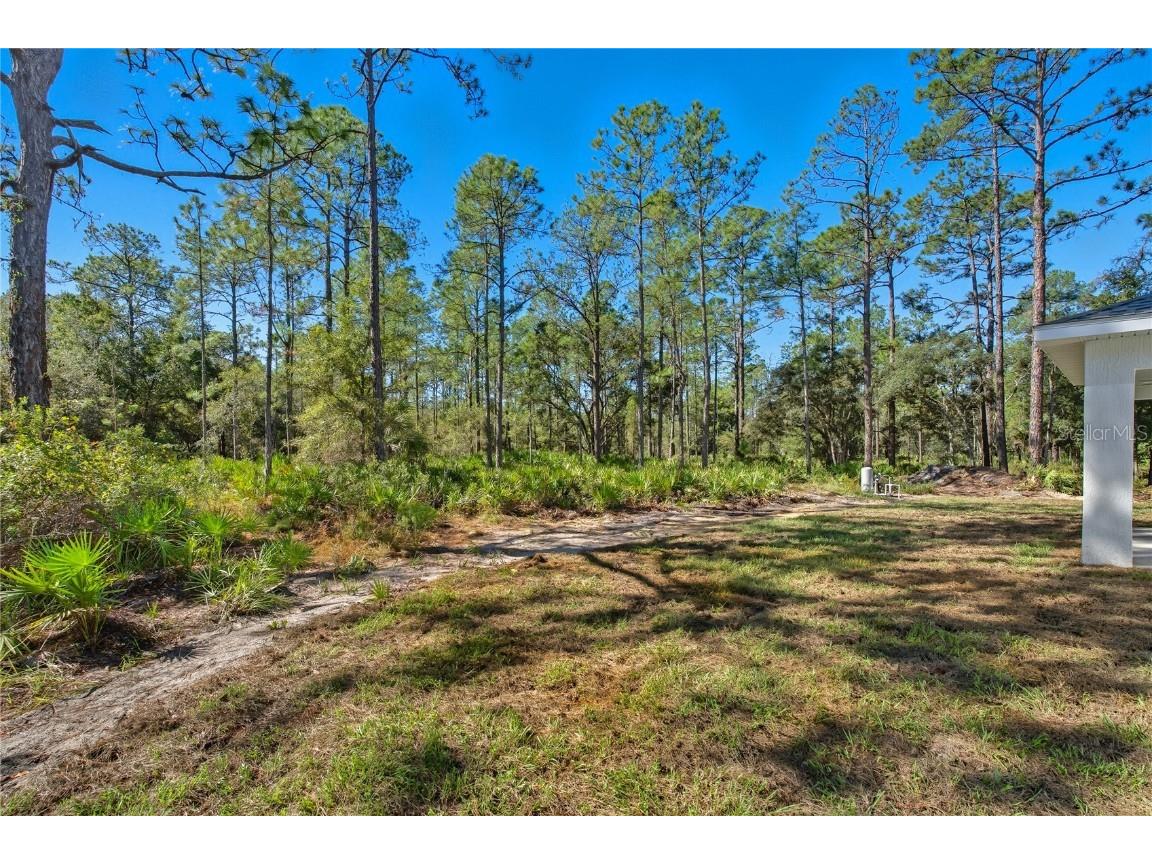 11240 W Dragonhead Drive Crystal River FL 34428 TB8331971 image40