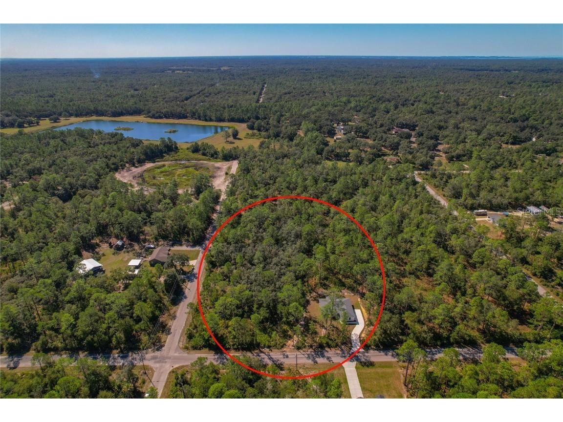 11240 W Dragonhead Drive Crystal River FL 34428 TB8331971 image41