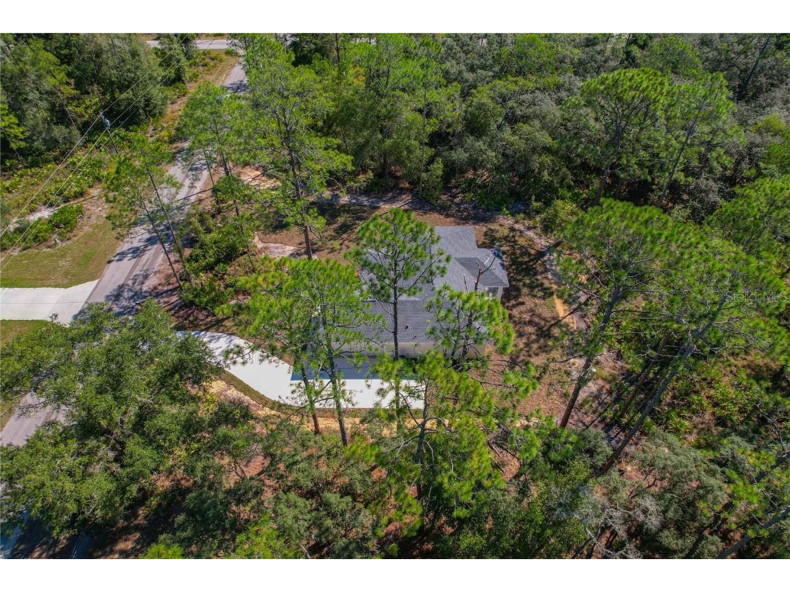 11240 W Dragonhead Drive Crystal River FL 34428 TB8331971 image42