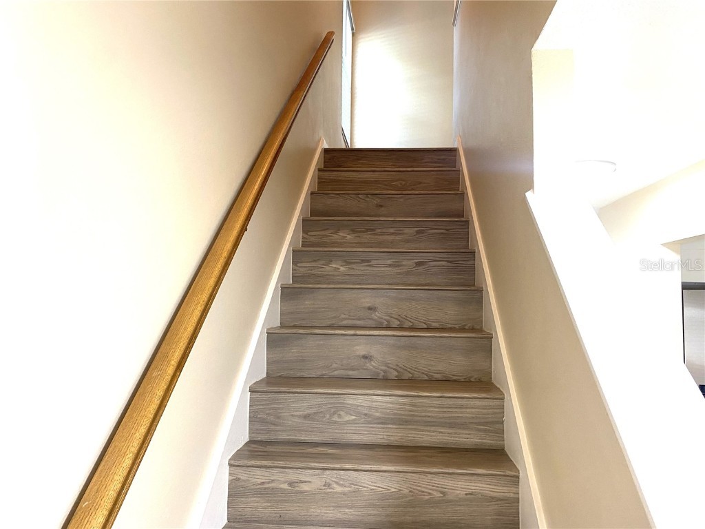 11241 Cedar Hollow Lane Tampa FL 33618 TB8448512 image12