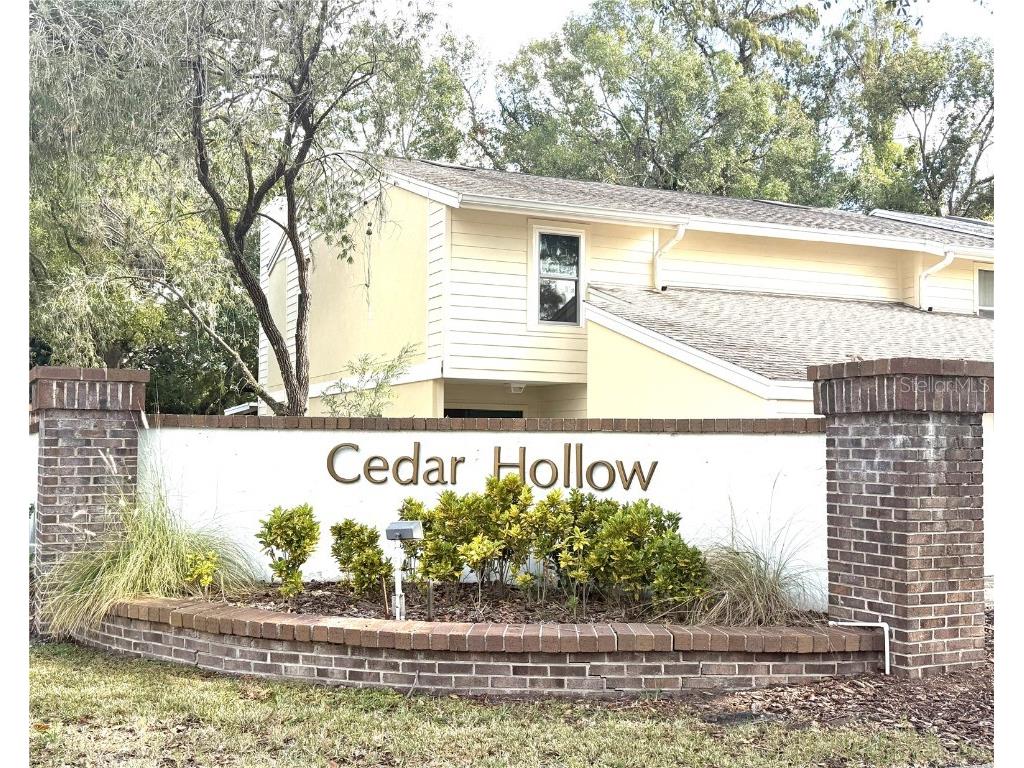11241 Cedar Hollow Lane Tampa FL 33618 TB8448512 image2