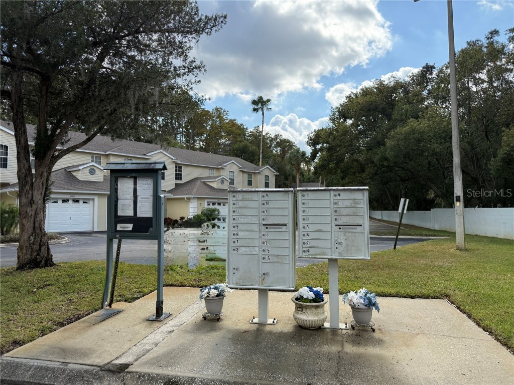 11241 Cedar Hollow Lane Tampa FL 33618 TB8448512 image25