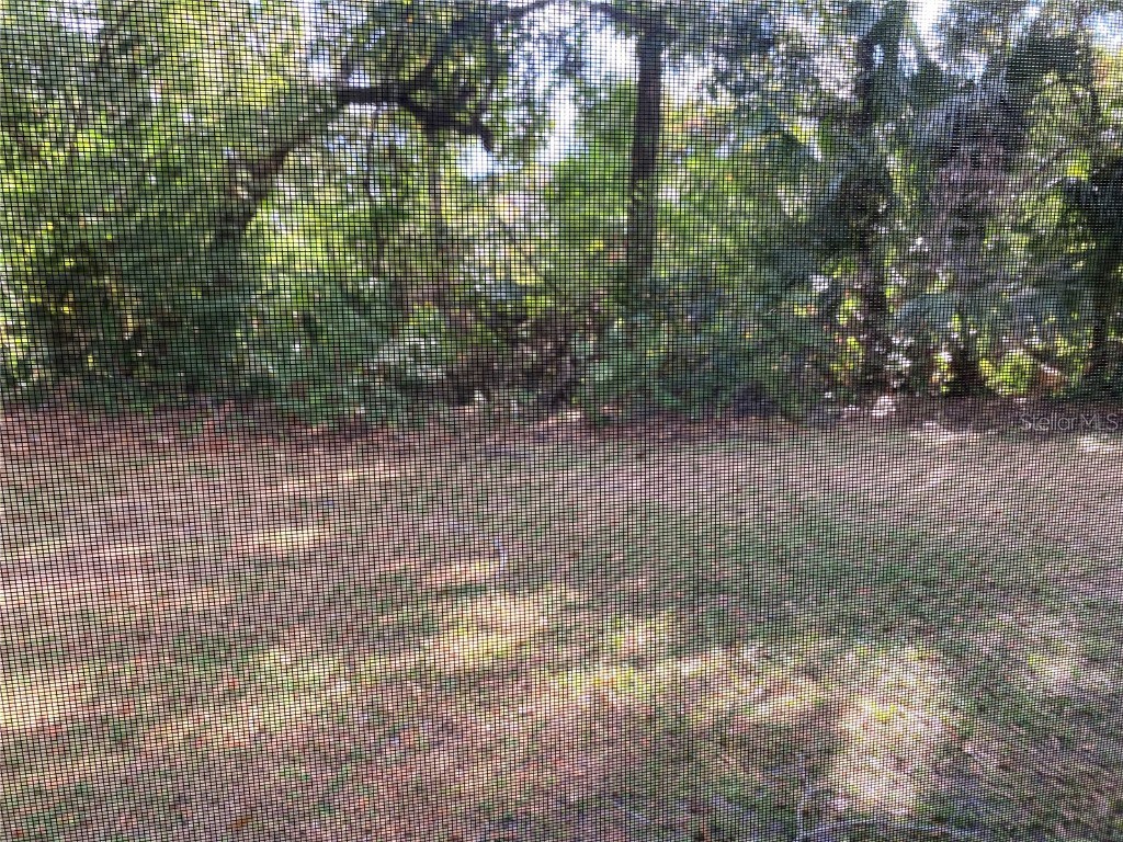 11241 Cedar Hollow Lane Tampa FL 33618 TB8448512 image6