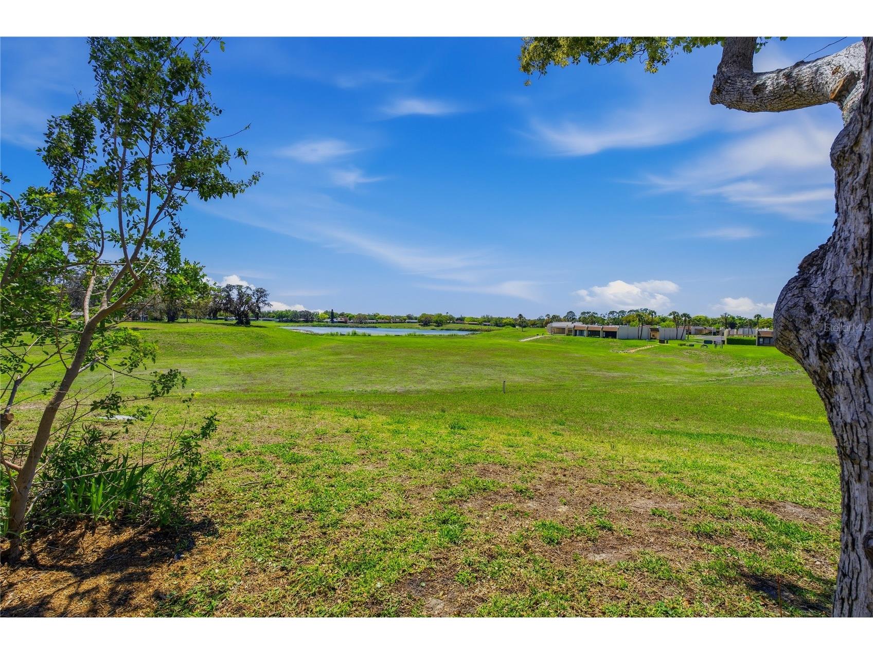 11241 Dollar Lake Drive #4 Port Richey FL 34668 W7883901 image34