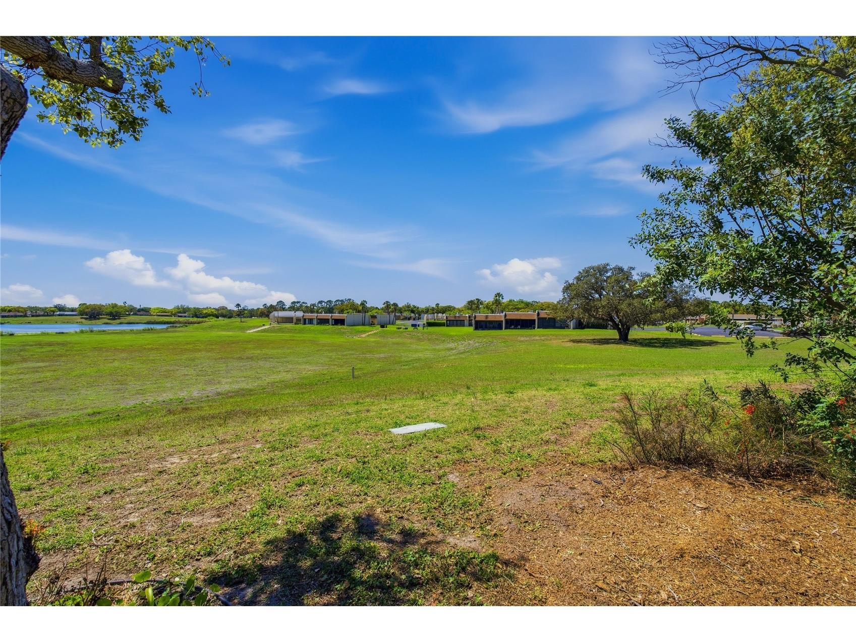 11241 Dollar Lake Drive #4 Port Richey FL 34668 W7883901 image6