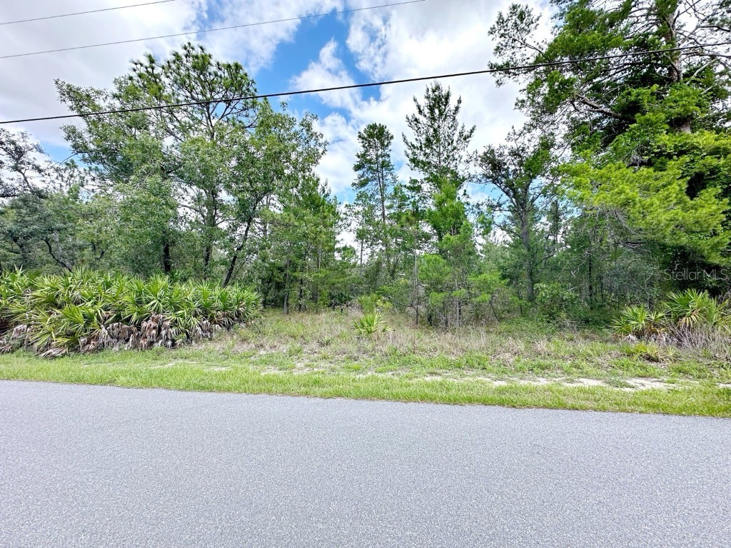 11241 Pheasant Avenue Weeki Wachee FL 34614 O6217153 image1