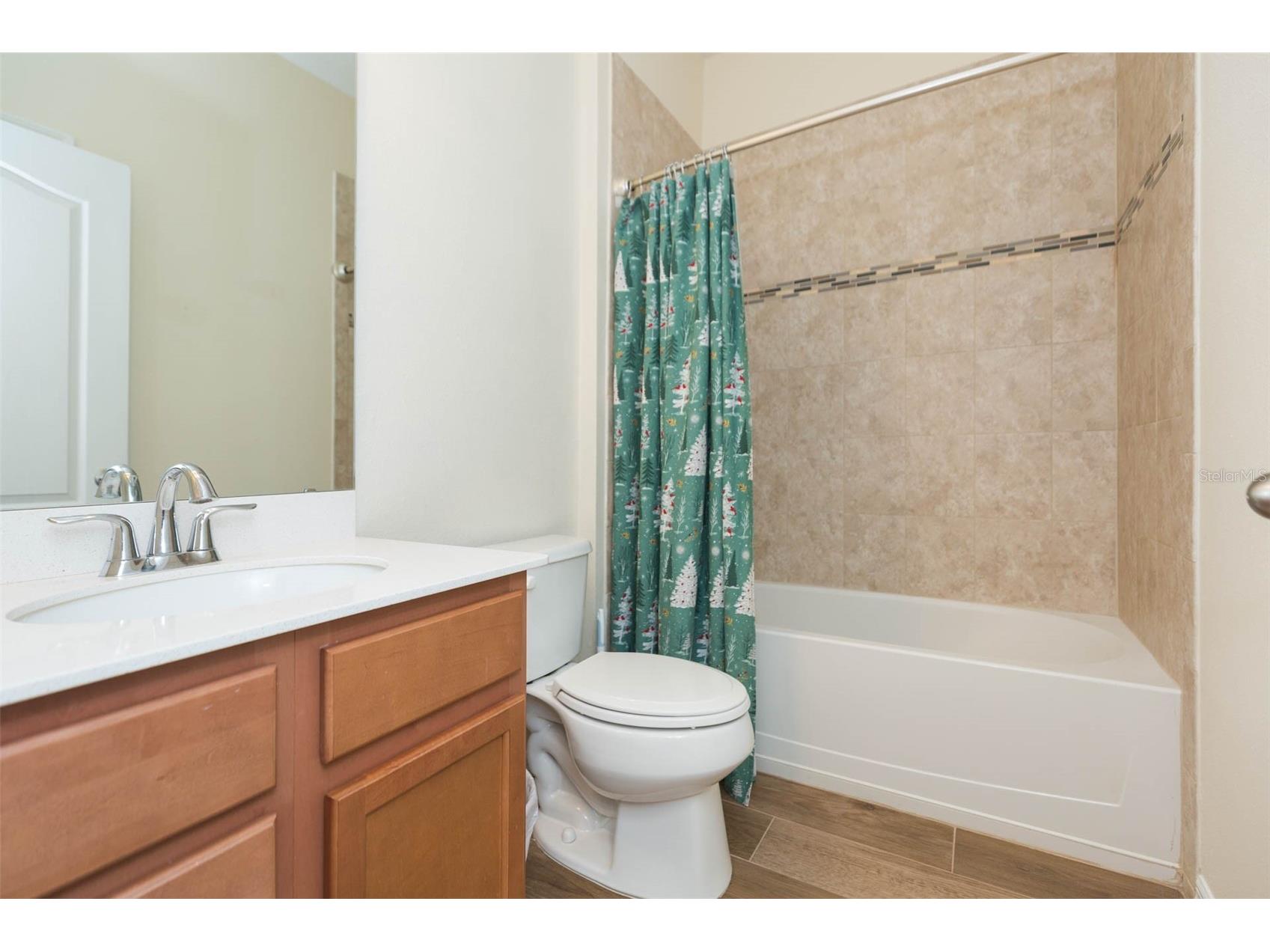 11241 Spring Point Circle Riverview FL 33579 TB8459934 image27