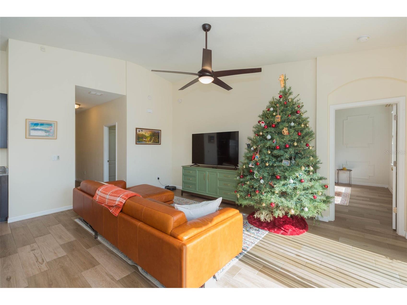 11241 Spring Point Circle Riverview FL 33579 TB8459934 image5