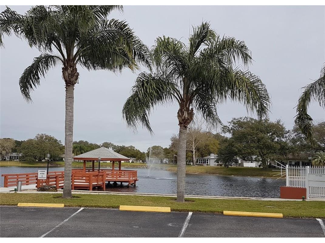 11241 Versailles Lane #0 Port Richey FL 34668 W7879897 image32