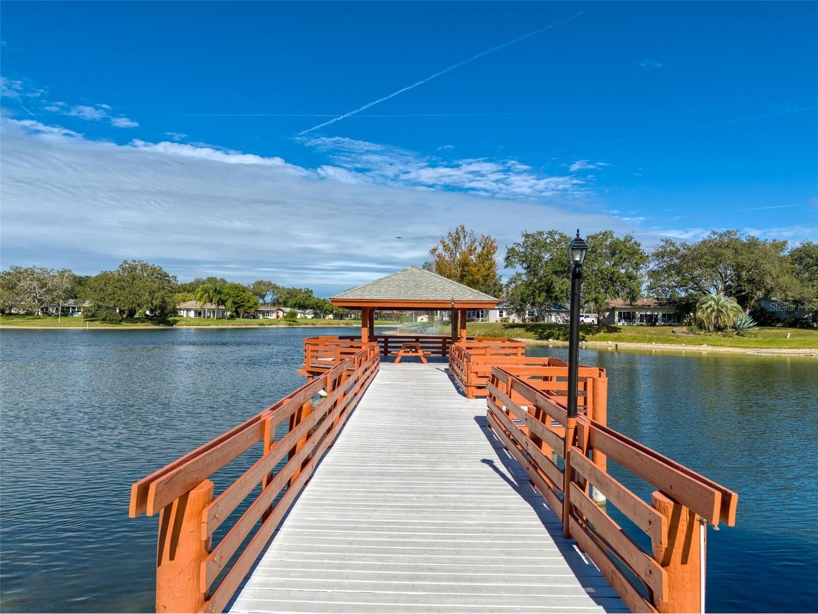 11241 Versailles Lane #0 Port Richey FL 34668 W7879897 image47