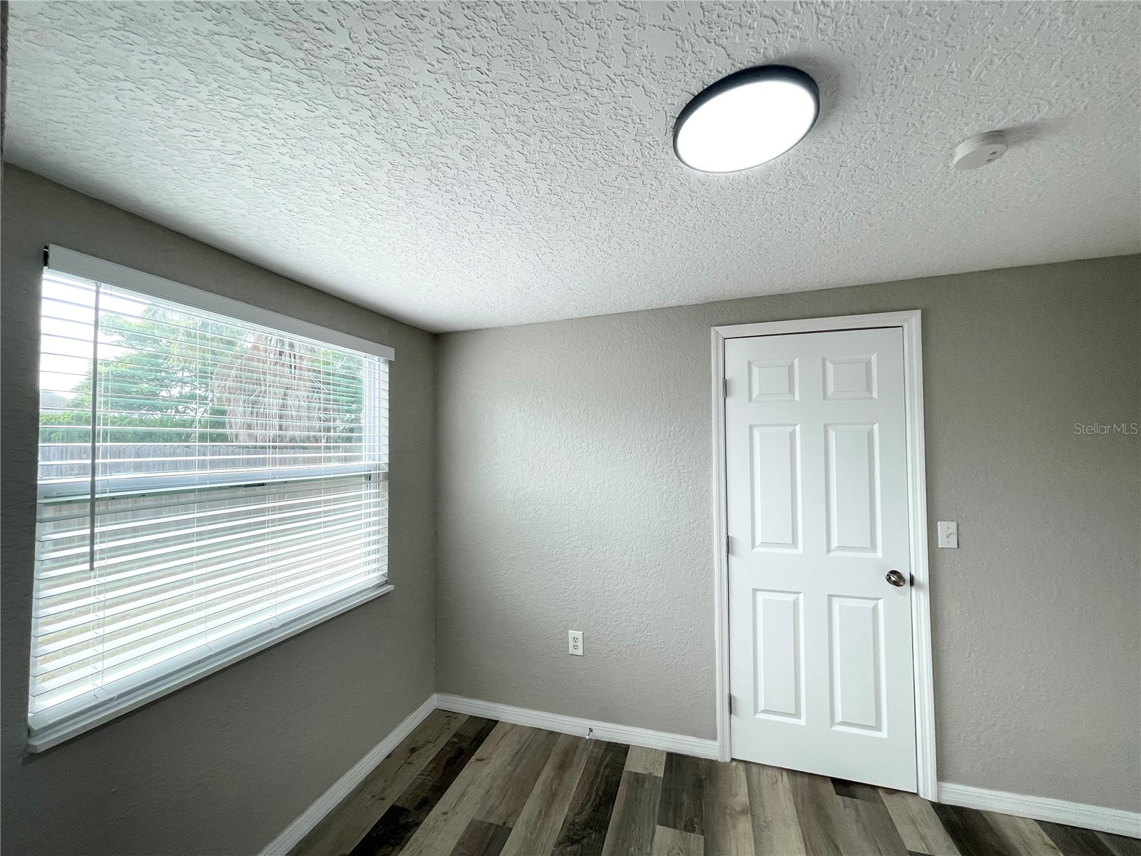 11241 Yewtree Avenue Port Richey FL 34668 TB8510479 image26