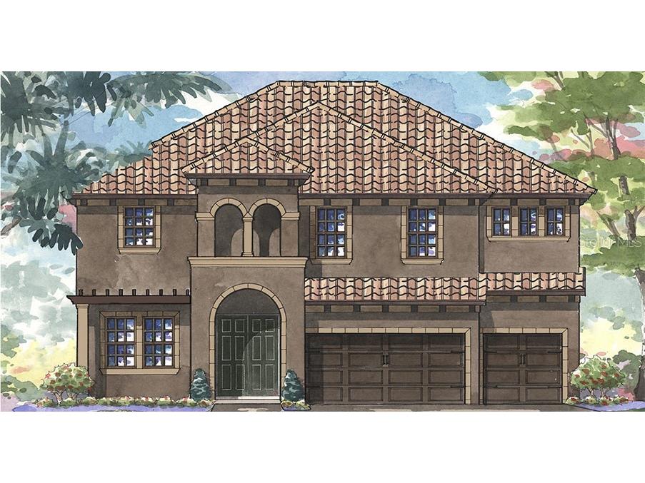 11242 Fish Eagle Drive Riverview FL 33569 T3330494 image1