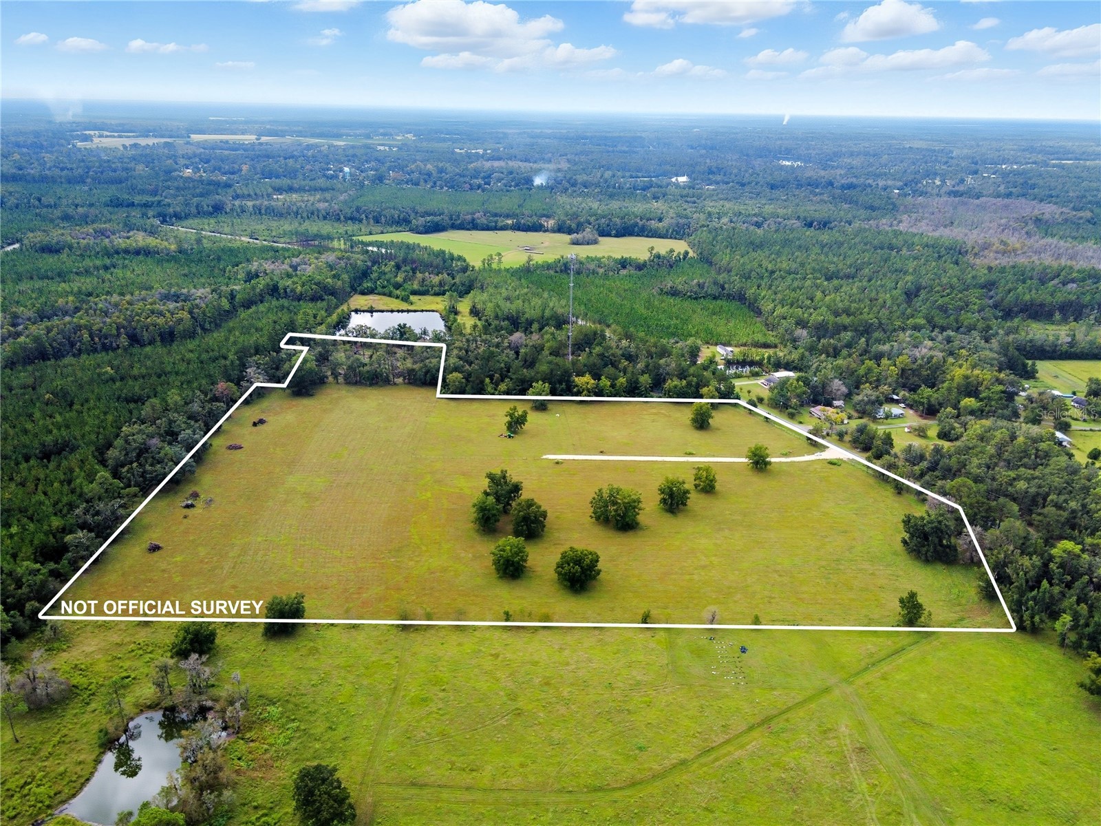 11242 Hogan Road Live Oak FL 32060 FC316325 image1
