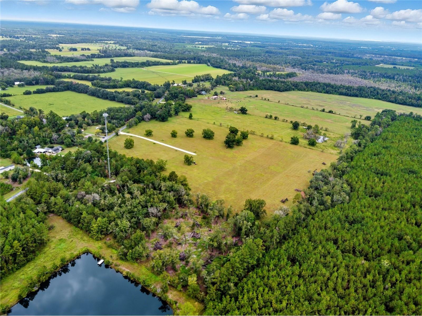 11242 Hogan Road Live Oak FL 32060 FC316325 image23