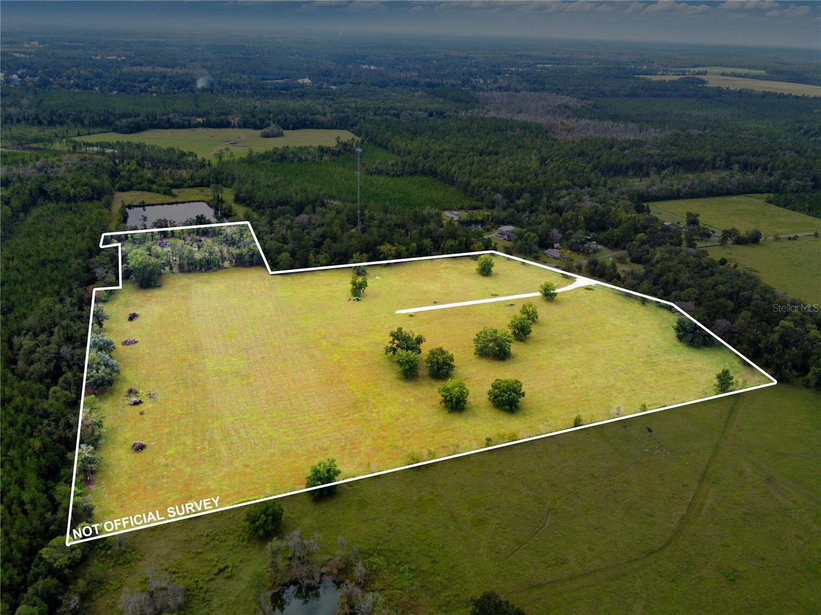 11242 Hogan Road Live Oak FL 32060 FC316325 image6