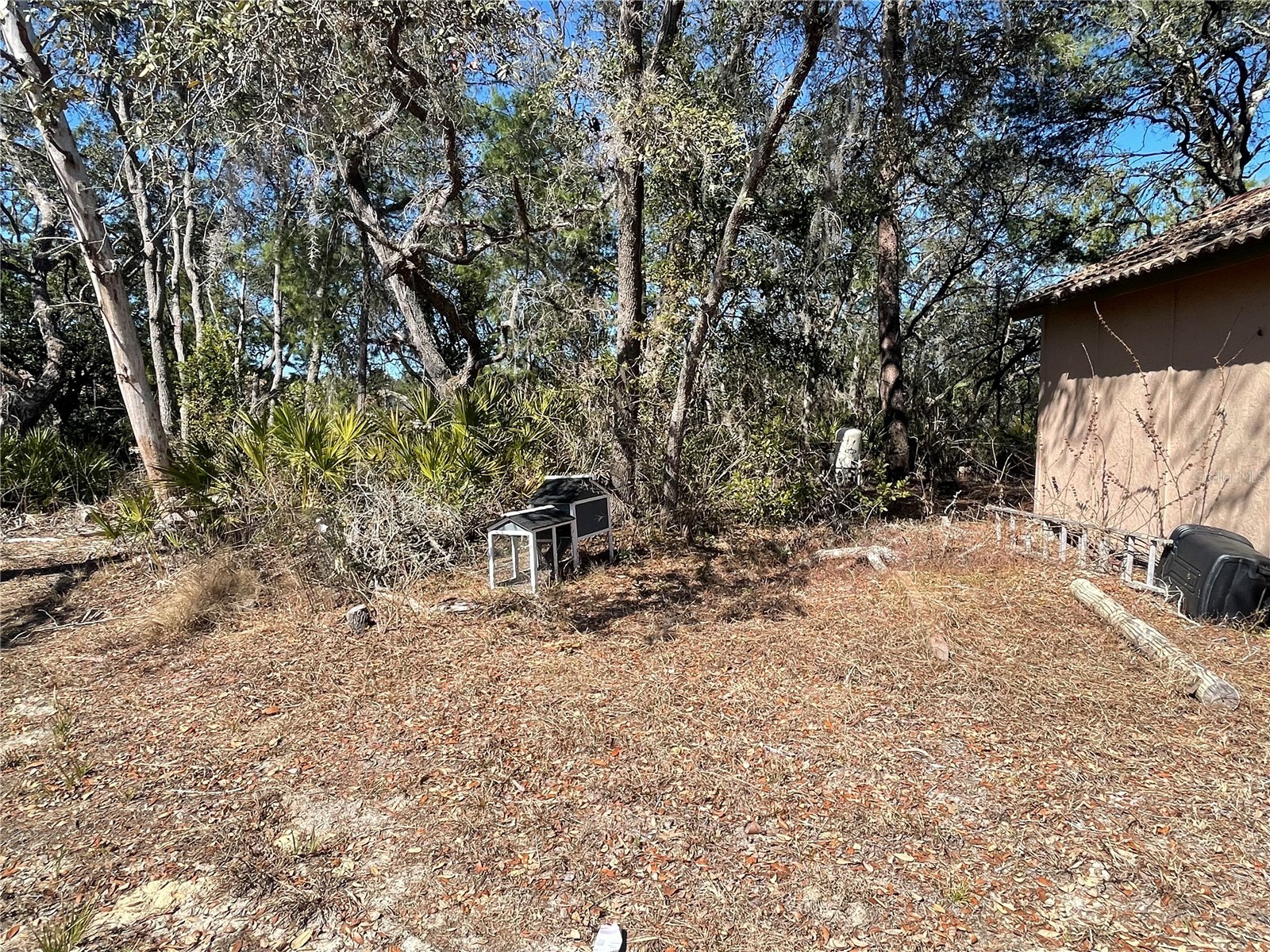 11242 Mirage Avenue Weeki Wachee FL 34614 W7882903 image10
