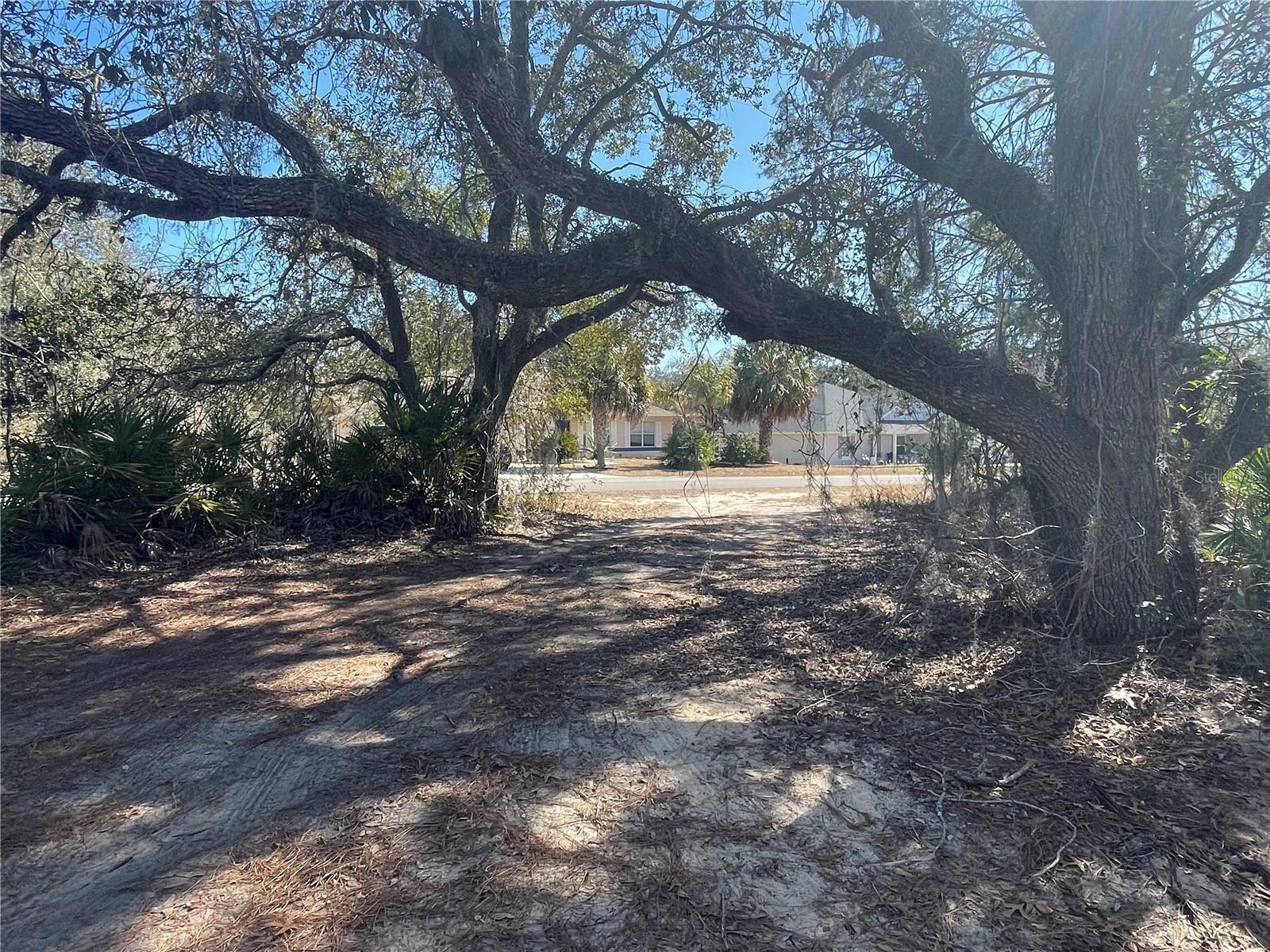 11242 Mirage Avenue Weeki Wachee FL 34614 W7882903 image22