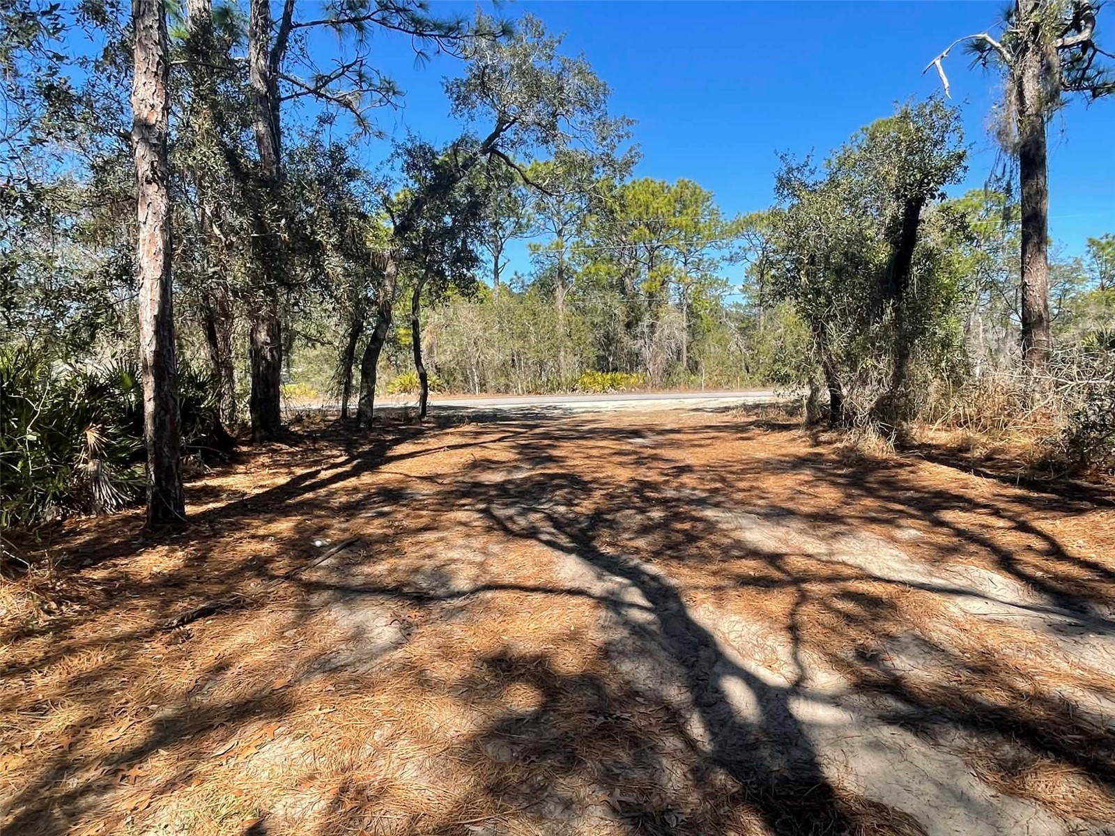 11242 Mirage Avenue Weeki Wachee FL 34614 W7882903 image3
