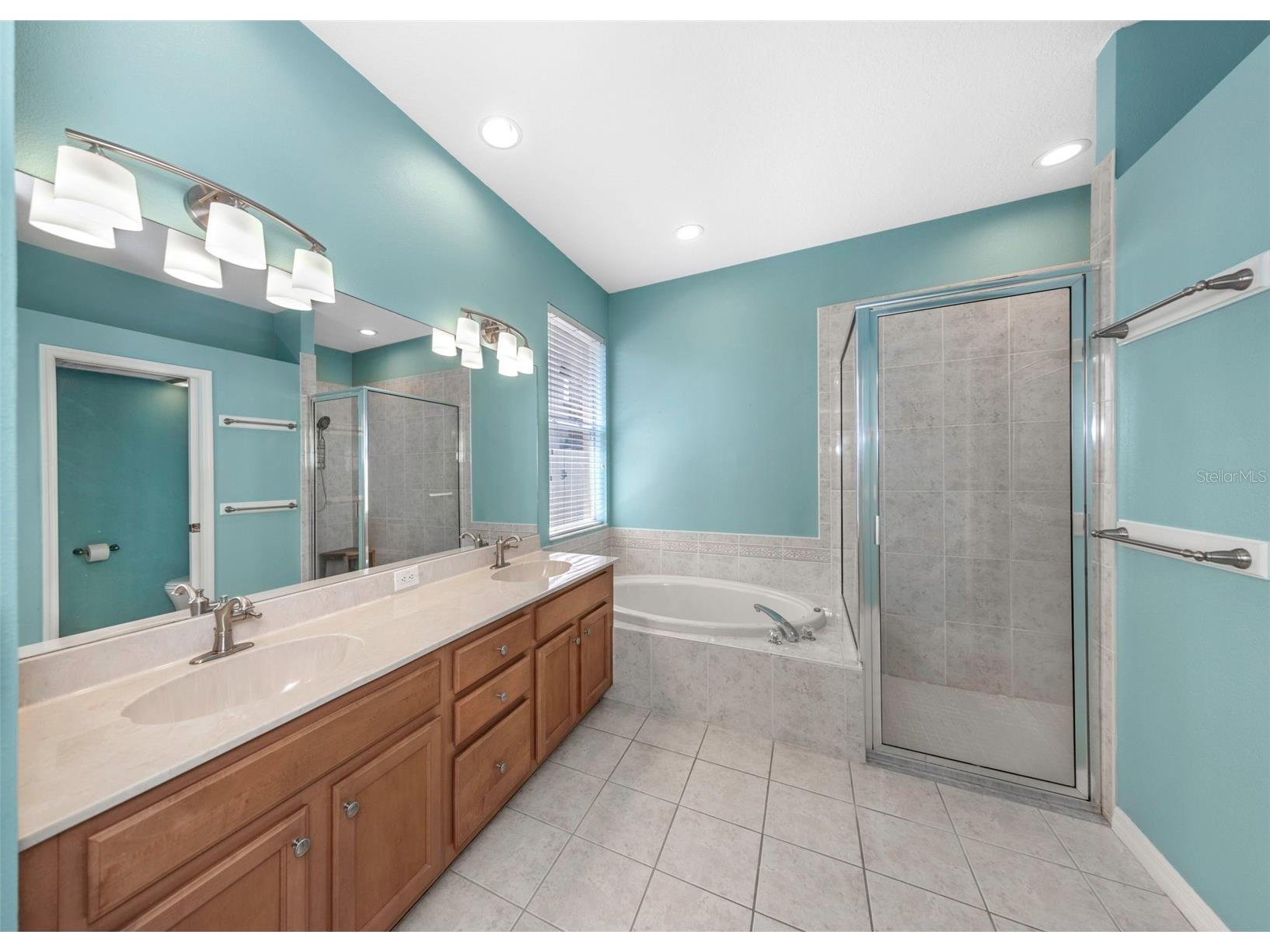 11243 Blacksmith Drive Tampa FL 33626 TB8514161 image20