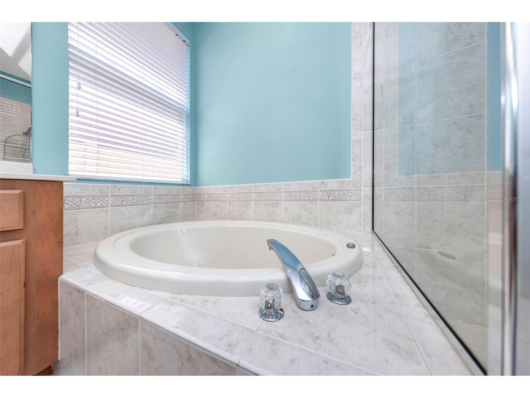 11243 Blacksmith Drive Tampa FL 33626 TB8514161 image21