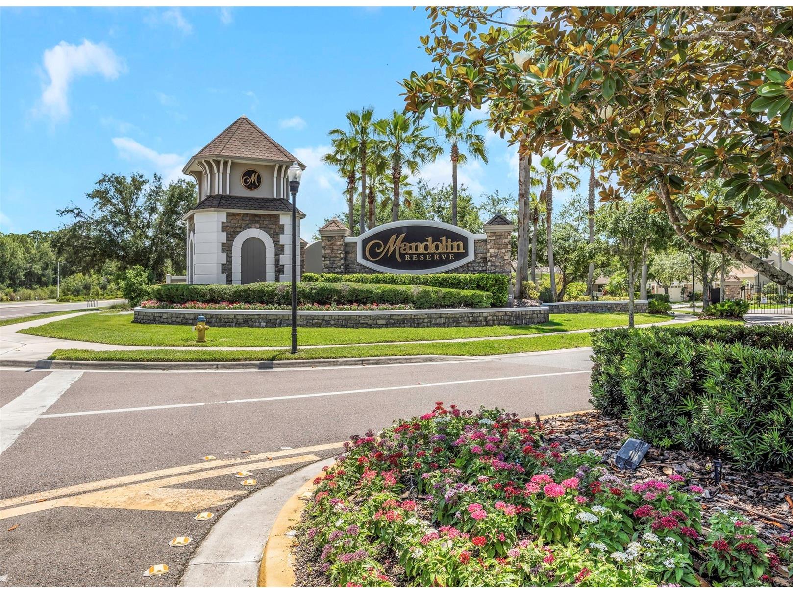 11243 Blacksmith Drive Tampa FL 33626 TB8514161 image29