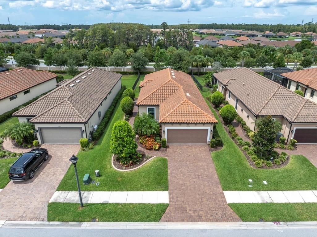 11243 Callisia Drive Odessa FL 33556 W7868131 image1