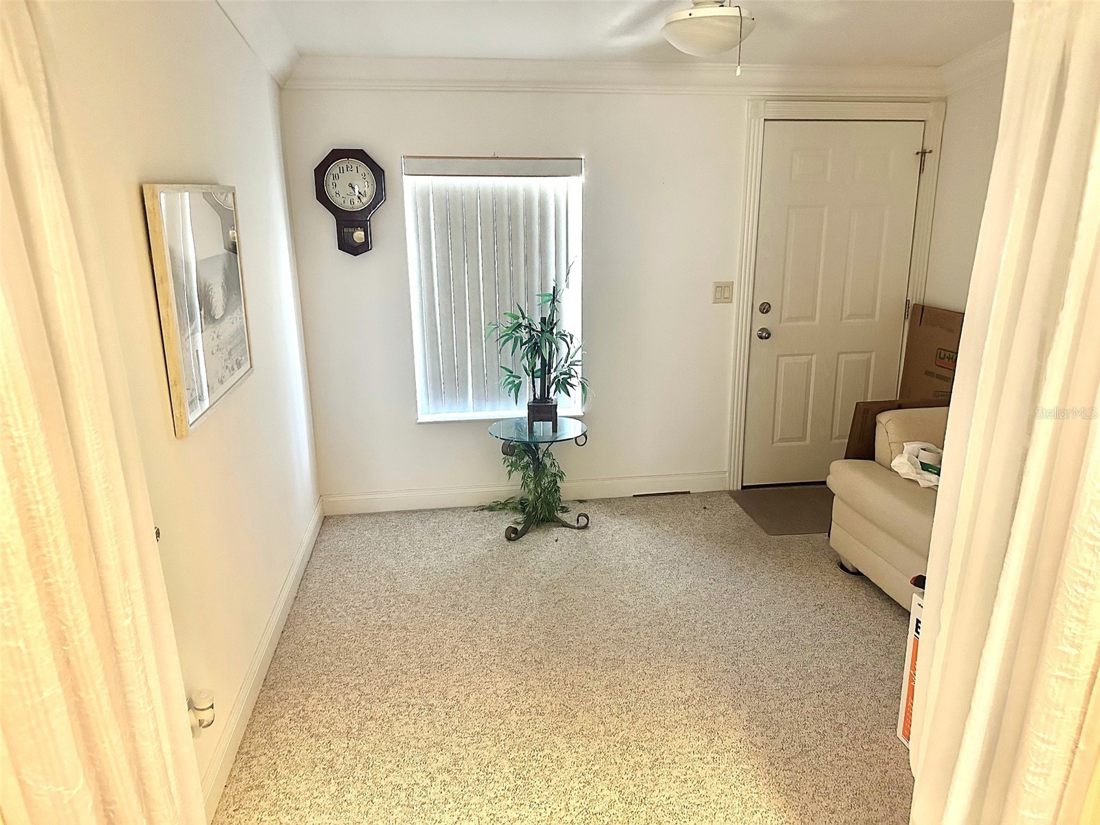 11244 101st Way #136 Largo FL 33773 TB8500083 image16