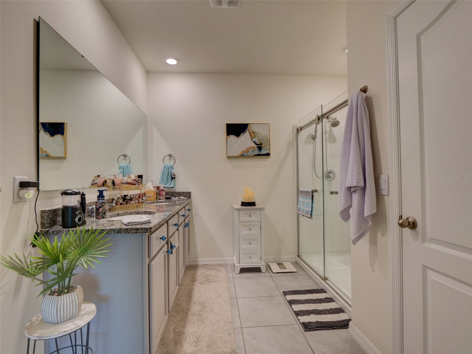 11244 Amber Ridge Drive Zellwood FL 32798 G5113795 image21