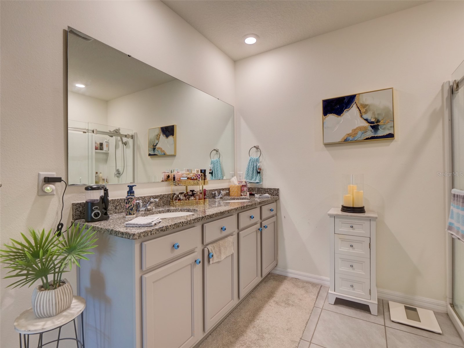 11244 Amber Ridge Drive Zellwood FL 32798 G5113795 image22