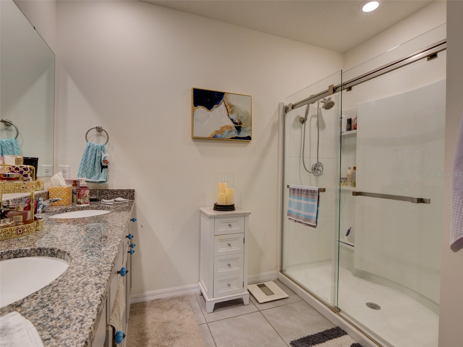 11244 Amber Ridge Drive Zellwood FL 32798 G5113795 image23