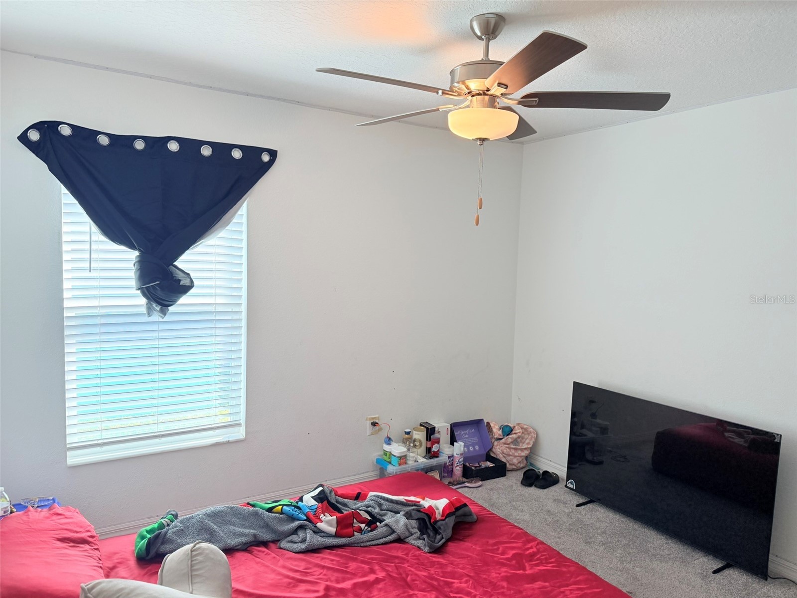 11244 Linden Depot Road San Antonio FL 33576 TB8497495 image28