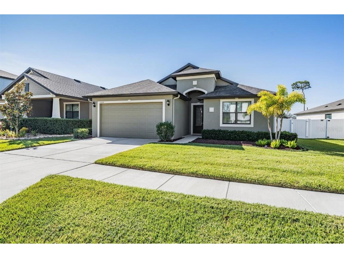 11245 Paddock Manor Avenue Riverview FL 33569 T3468364 image1