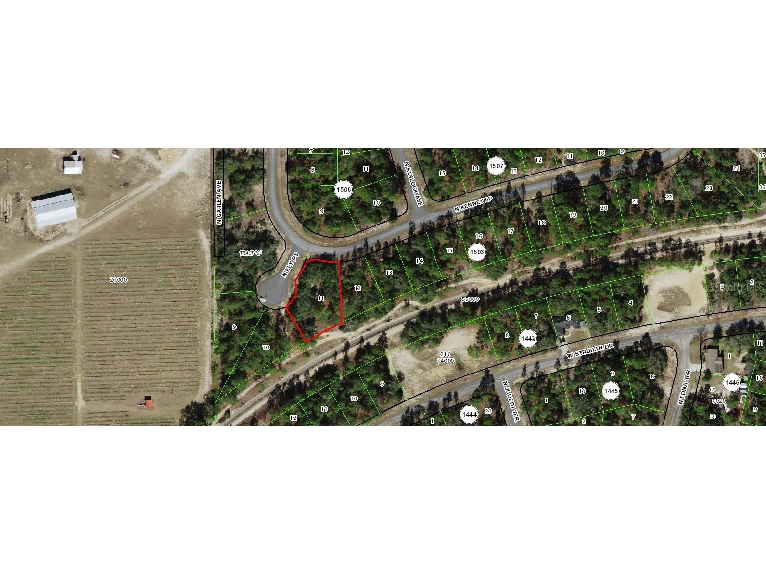 11247 N Ely Point Dunnellon FL 34433 R4910239 image1