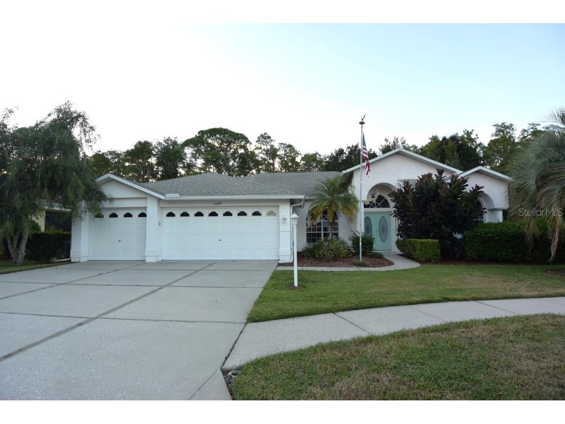 11247 Wedgemere Drive Trinity FL 34655 W7879326 image1