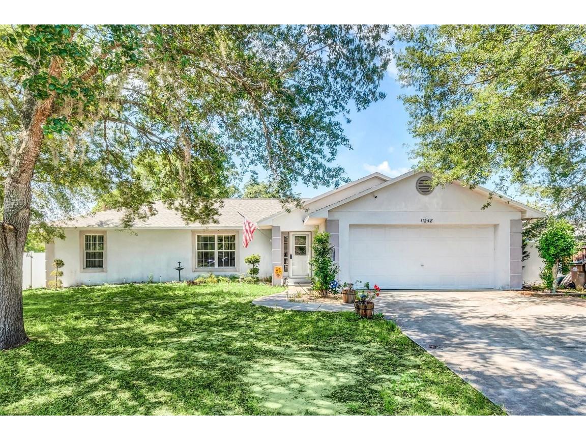 11248 Lakeview Drive Leesburg FL 34788 O6119175 image1