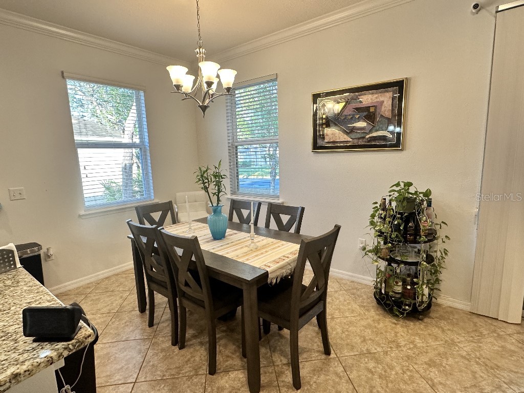 11248 Mollymawk Court New Port Richey FL 34654 TB8376653 image10