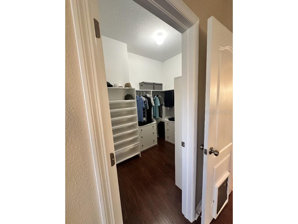 11248 Mollymawk Court New Port Richey FL 34654 TB8376653 image15