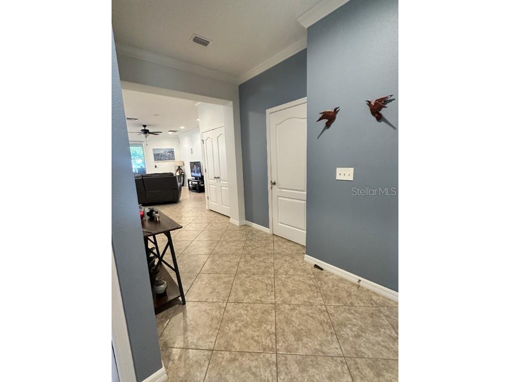 11248 Mollymawk Court New Port Richey FL 34654 TB8376653 image3