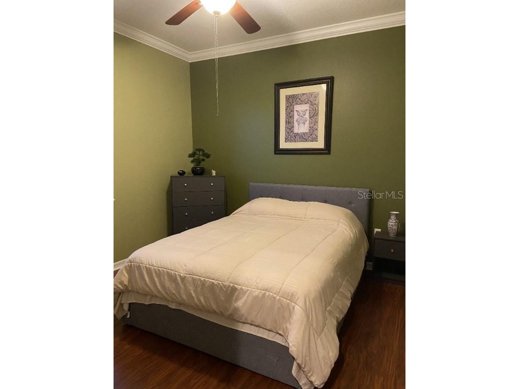11248 Mollymawk Court New Port Richey FL 34654 TB8376653 image6