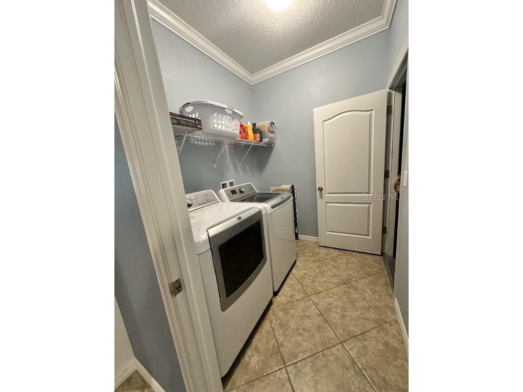 11248 Mollymawk Court New Port Richey FL 34654 TB8376653 image8
