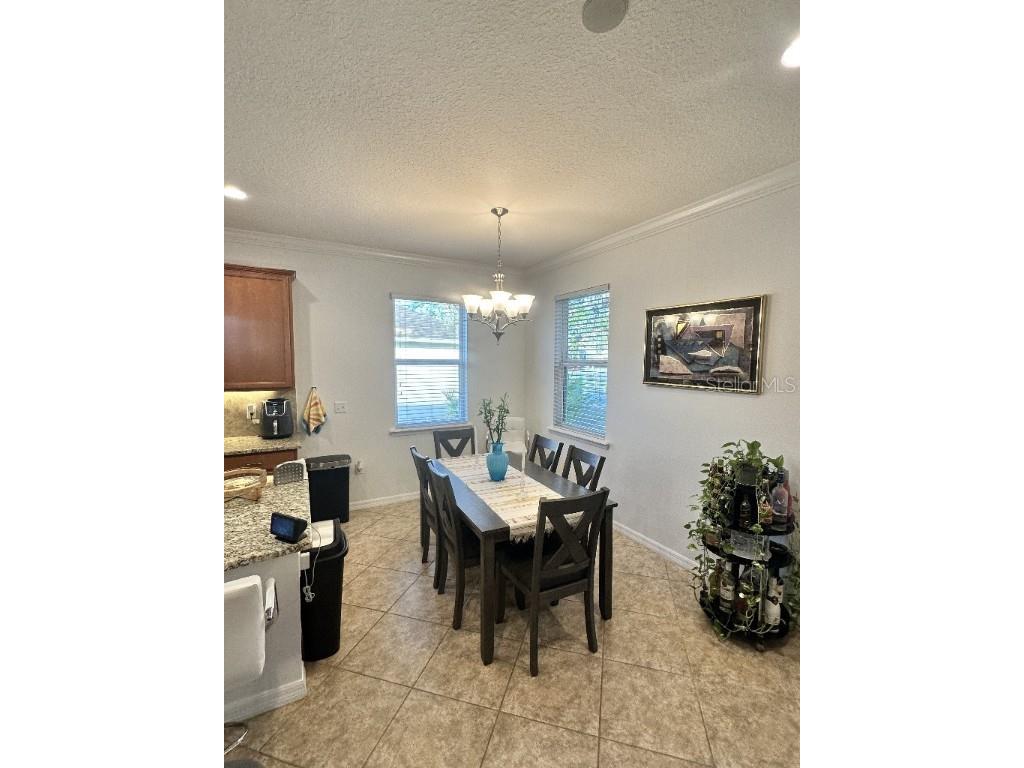 11248 Mollymawk Court New Port Richey FL 34654 TB8376653 image9