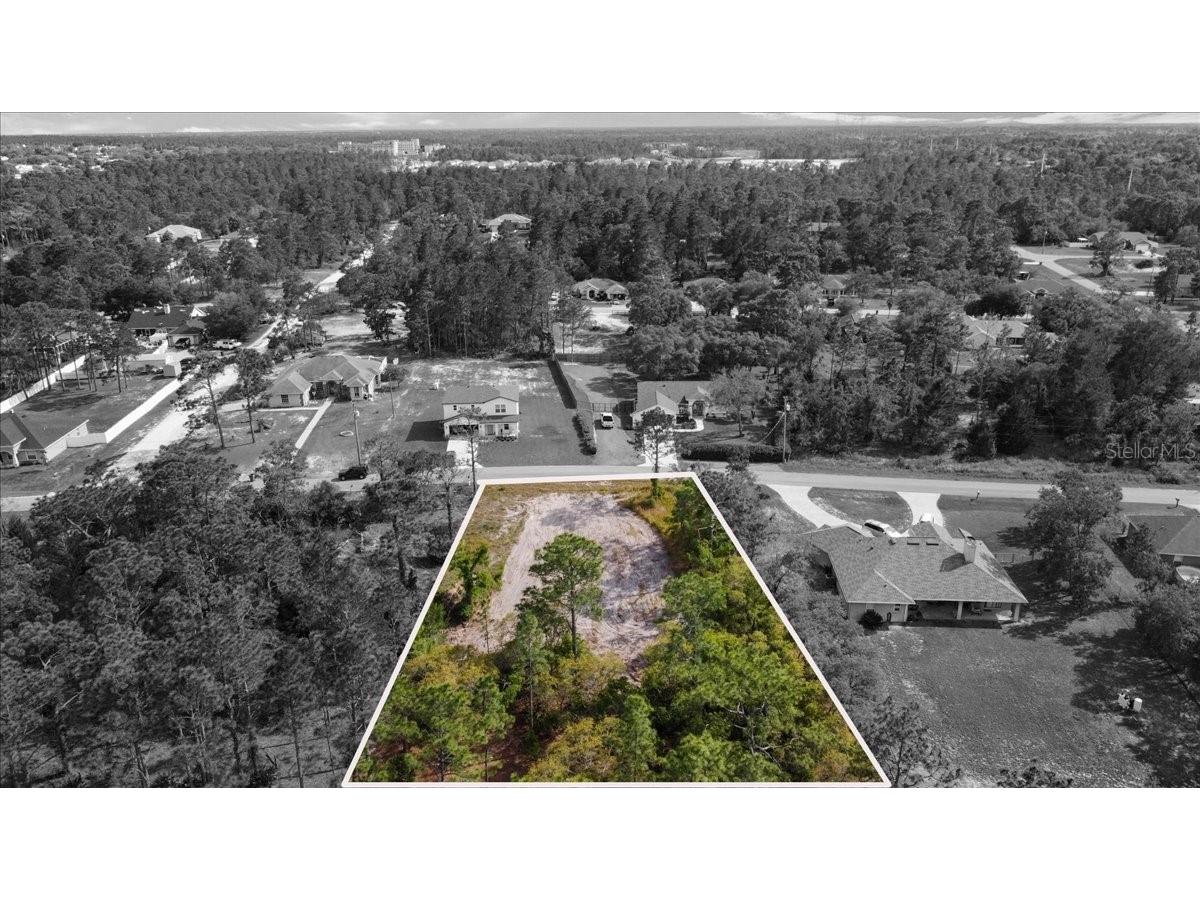 11249 Fool Duck Avenue Weeki Wachee FL 34613 T3517725 image1