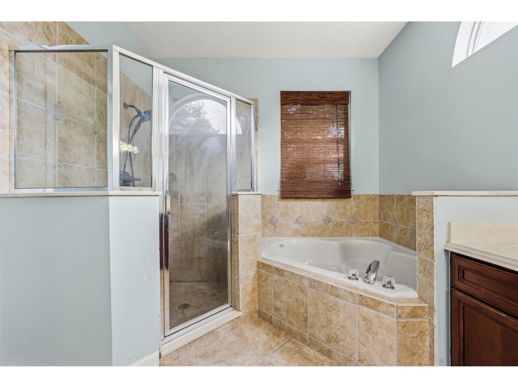 11249 Rapallo Lane Windermere FL 34786 O6421056 image17