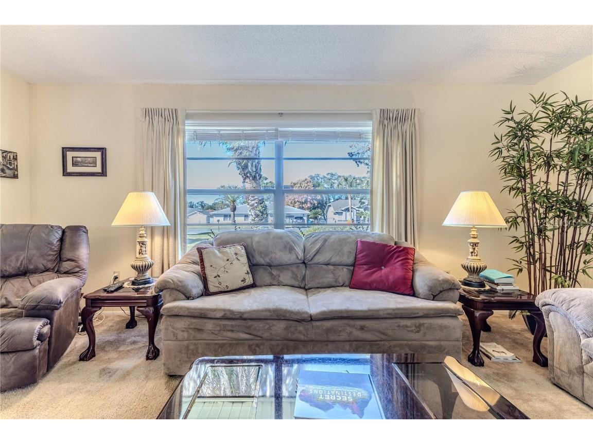 11249 Riddle Drive Spring Hill FL 34609 W7880630 image9