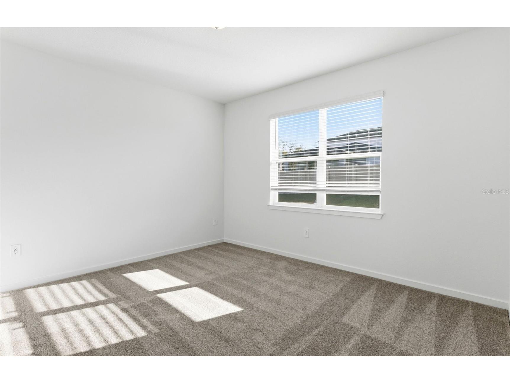 11249 Sycamore Glen Loop Thonotosassa FL 33592 TB8440681 image6