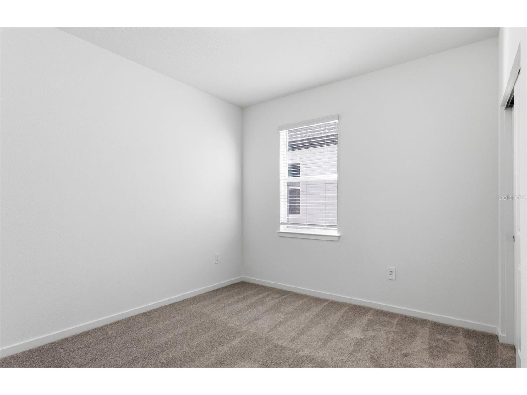 11249 Sycamore Glen Loop Thonotosassa FL 33592 TB8440681 image9