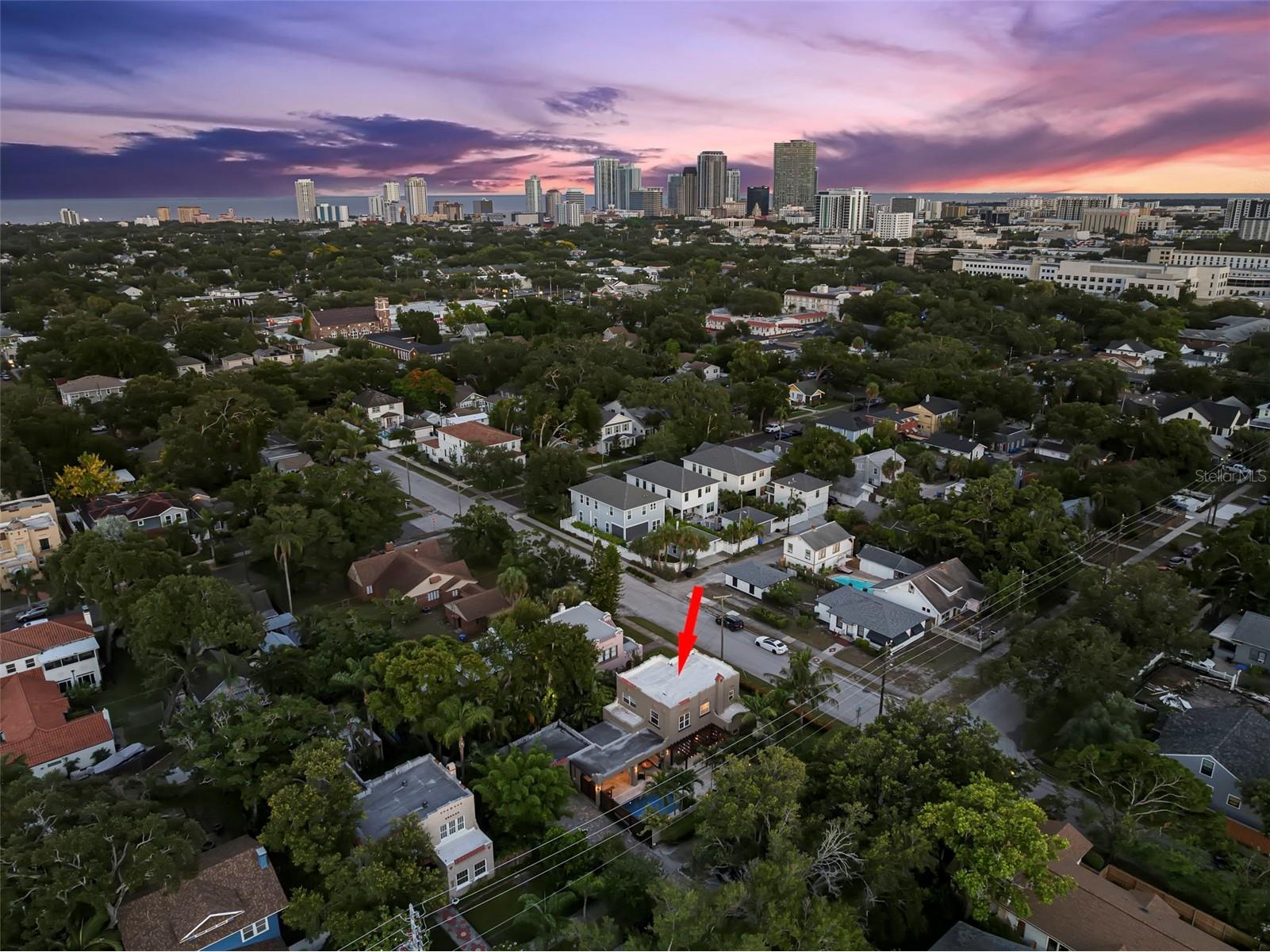 1125 11th Avenue NE Saint Petersburg FL 33705 TB8521711 image59